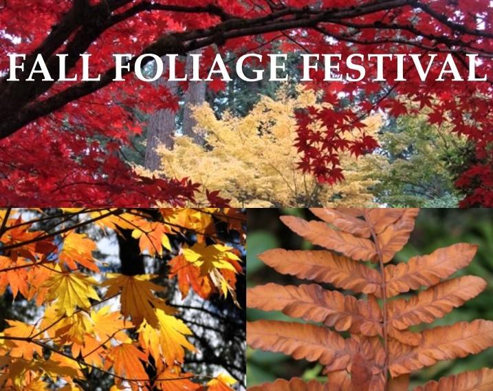 Fall Foliage Festival Seattle Area Family Fun Calendar ParentMap